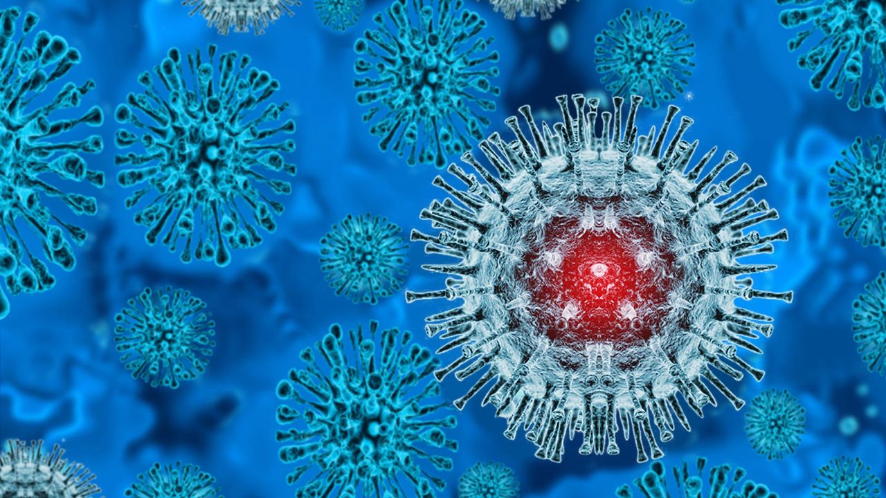 DSÖ'den M çiçeği virüsü için küresel salgın uyarısı