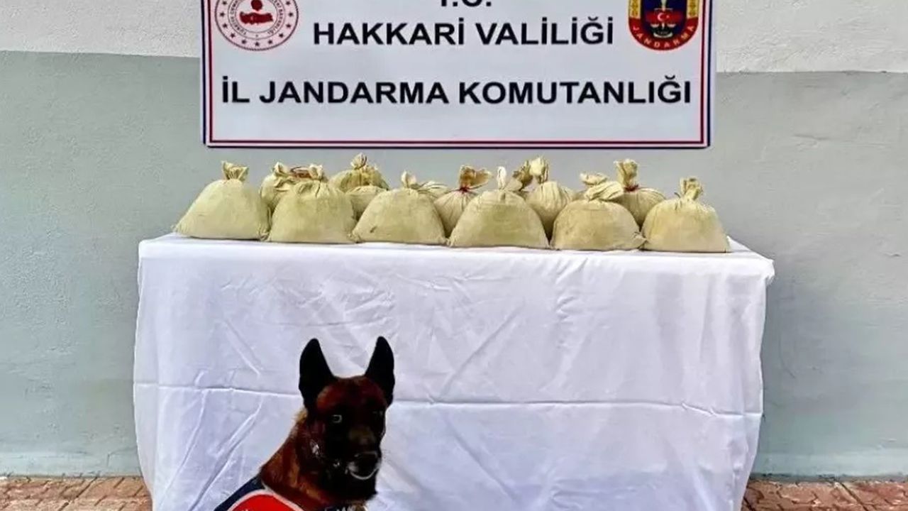 Hakkari'de uyuşturucu operasyonu: 15 kilo toz esrar ele geçirildi