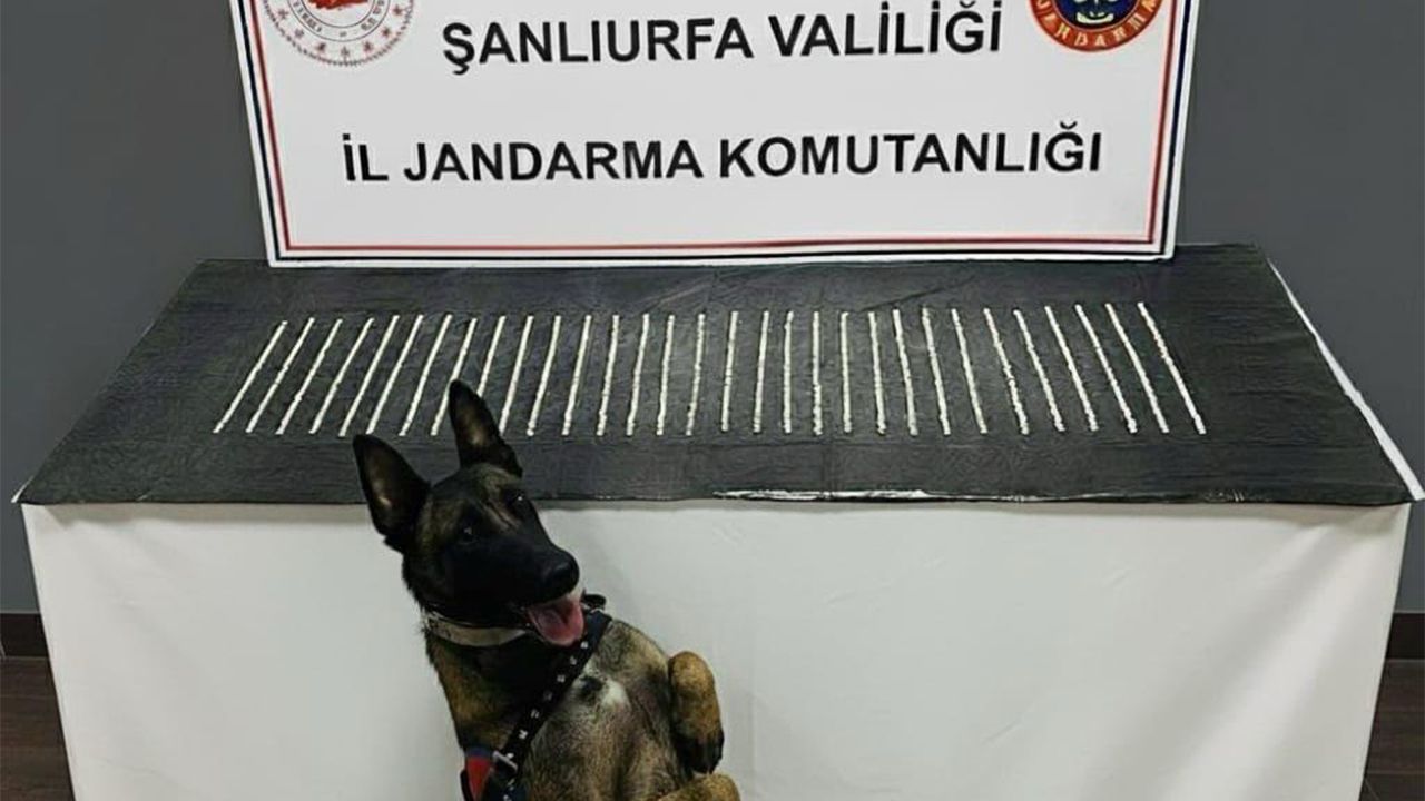 Şanlıurfa’da uyuşturucu operasyonu: 3 gözaltı