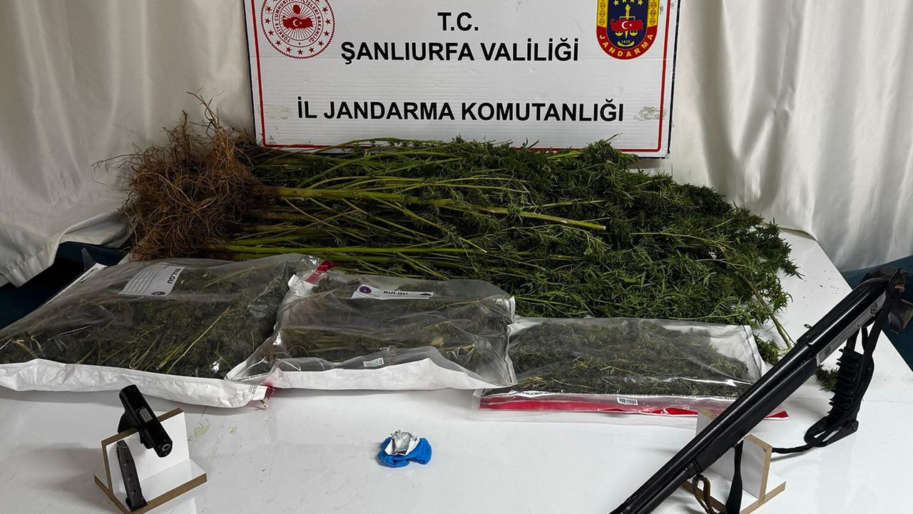 Şanlıurfa’da uyuşturucu operasyonu: Silah ve uyuşturucu ele geçirildi