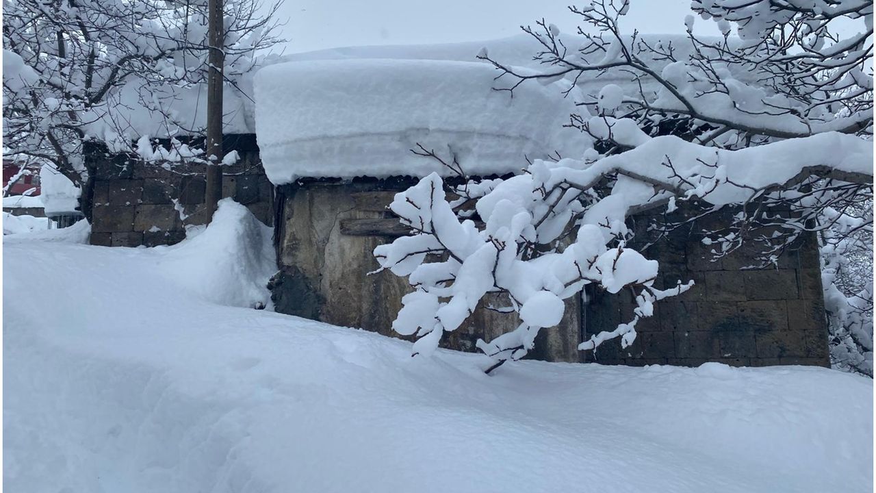 Bitlis’te evler kara gömüldü