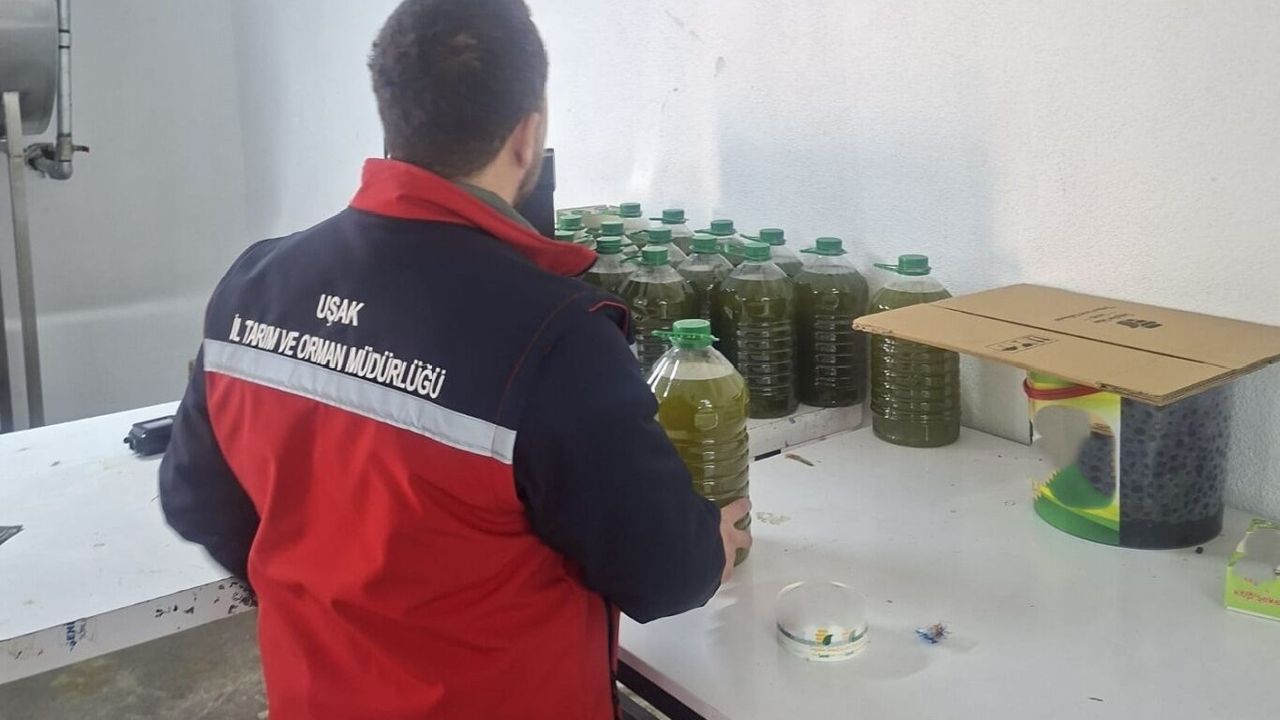 Uşak’ta tağşiş şüphesiyle zeytinyağlarına el konuldu