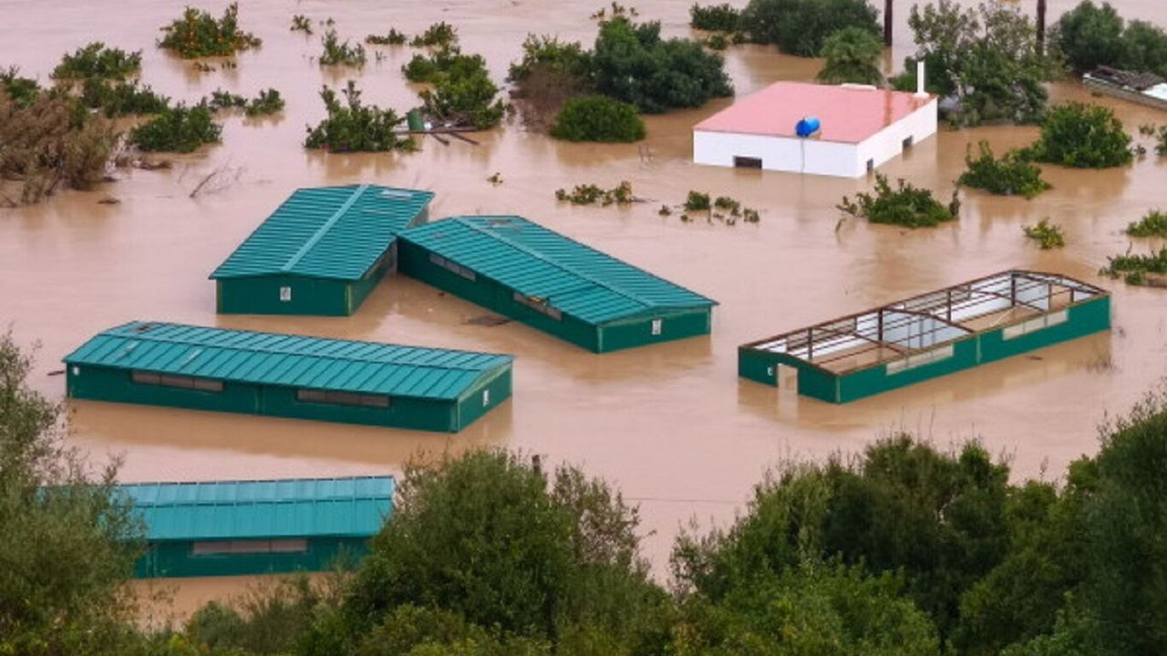 New Mexico’da şiddetli yağış sele dönüştü: 3 ölü