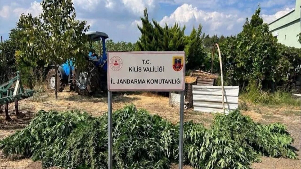 Kilis'te uyuşturucu operasyonu: 40,5 kilogram esrar ele geçirildi