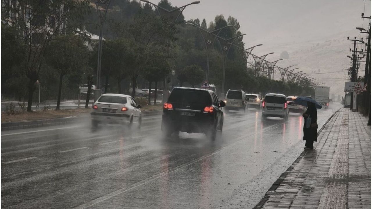Bitlis'te sağanak yağış etkili oldu