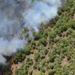 Bursa'da orman yangını
