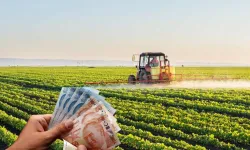 Çiftçilerin Yüzü Güldü: 96 Milyon Lira Destek Ödemesi Bugün Hesaplarda