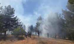 Nurdağı’nda orman yangını kontrol altına alınmaya çalışılıyor