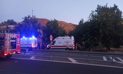 Elazığ'da Ağaca Çarpan Otomobildeki 2 Kişi Yaralandı