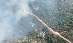 Manisa’da orman yangını: Bir mahalle boşaltıldı