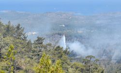 Antalya’da İki Ayrı Orman Yangını