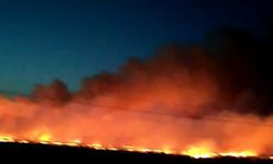 Diyarbakır’da büyük anız yangını: 3 bin dönüm kül oldu