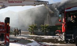 İzmir Menemen'deki Geri Dönüşüm Fabrikasında Yangın