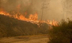 Isparta’da Anız Yangını Ormana Sıçradı: 150 Dekarlık Buğday Tarlası Kül Oldu