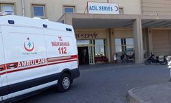 Şanlıurfa'da Koyun Kırkarken Elektrik Akımına Kapılarak Hayatını Kaybetti