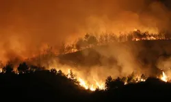 Bingöl'de ormanlık alanda yangın!