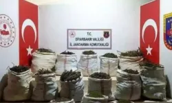 Diyarbakır’da rekor kenevir operasyonu