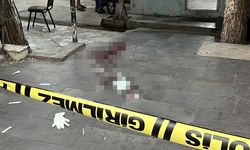 Diyarbakır-Yenişehir'de iki kardeşin kavgasında kan döküldü