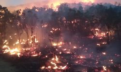 Siirt-Baykan'da orman yangını: Birçok ilden destek istendi!