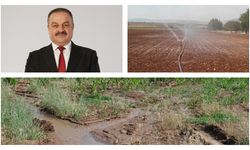 Sıcaklık artışı su krizini tetikliyor: Diyarbakır’da su yasağı