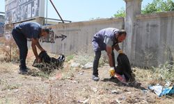 Ergani Belediyesi daha temiz bir Ergani için kolları sıvadı!