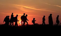 53 Düzensiz Göçmen Yasa Dışı Yollarla Türkiye'ye Girmeye Çalışırken Yakalandı