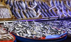 Balık fiyatlarında son durum nedir? Hangi balıkta bolluk var?