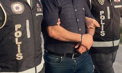 Muğla'da 12 düzensiz göçmen yakalandı