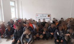 Ağrı'da durdurulan bir tırda 49 düzensiz göçmen yakalandı