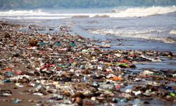 Gine'de çevre felaketi: Sahiller çöp yığınları ile doldu