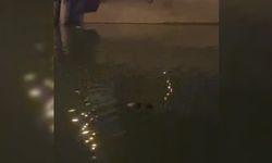 Şanlıurfa'da Sulama Kanalında Ceset Bulundu!