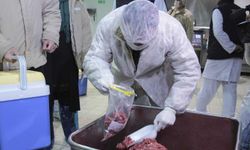 Ülke genelinde et ve süt ürünleri denetimi başladı
