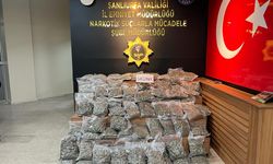 Şanlıurfa’da 46 Kilo Skunk Ele geçirildi 1 Kişi Gözaltına Alındı