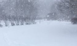 Tunceli’de kar yağışı etkili oldu