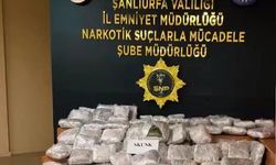 Şanlıurfa’da tırda 85 kilo 750 gram skunk maddesi ele geçirildi
