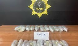 Şanlıurfa’da 8 kilogram skunk maddesi ele geçildi