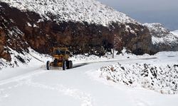 Muş'ta kar nedeniyle 33 köy yoluna ulaşım sağlanamıyor