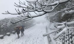 Tayvan'da soğuk hava nedeniyle 145 kişi öldü