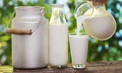 Ticari süt işletmelerince 810 bin ton inek sütü toplandı