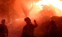 ABD'deki orman yangınlarında 370 bin dönümlük alan küle döndü