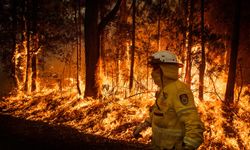 Avustralya'da kontrol altına alınamayan yangınlarda 16 bin hektarlık alan yandı