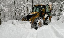 Elazığ'da 17 köy yolu kar nedeniyle ulaşıma kapandı