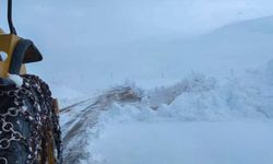 Hakkari'de 17 yerleşim yeri kar nedeniyle kapalı 