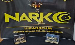 Viranşehir'de ekipler şok uygulama gerçekleştirdi