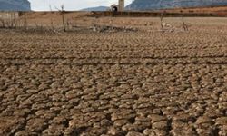 İspanya'da kuraklık alarmı