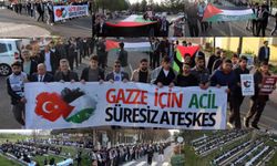 Dicle Üniversitesi öğrencileri Filistin için yürüdü