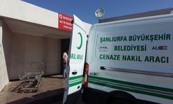 Viranşehir'de Baba hayatını kaybetti, oğlu ağır yaralandı