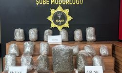 Urfa’da durdurulan araçtan uyuşturucu çıktı