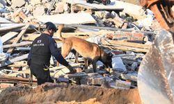 Güney Afrika'da inşaat çöktü: 8 kişi öldü, 38 kişiye ulaşılamıyor