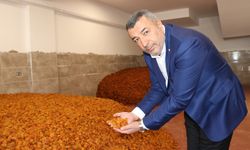 MTB Başkanı Özcan: Dünya genelindeki en kaliteli kayısı Malatya'da üretiliyor